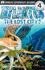 Atlantis: The Lost City?