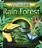 Rain Forest