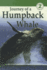 Journey of a Humpback Whale