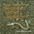 Serpentea Lombriz, Serpentea!