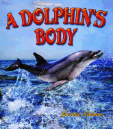 A Dolphin's Body