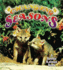 Changing Seasons
