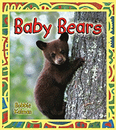 Baby Bears