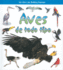 Aves de Todo Tipo