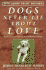 Dogs Never Lie About Love