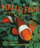 Hello Fish!: Visiting the Coral Reef