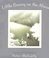 Little Bunny on the Move