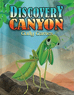Vbs 09-Discovery Canyon Gully Games Guide