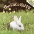 Little Rabbit