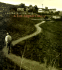 Chavez Ravine: 1949: A Los Angeles Story