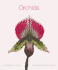 Orchids: Deluxe Notecards