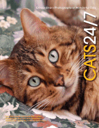 Cats 24/7: Extraordinary Photographs of Wonderful Cats