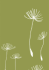Lotta Jansdotter Seedlings Journal