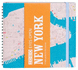 Eyes Open New York: A Field Guide for the Curious