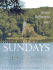 A Year of Sundays: Gospel Reflections 2007