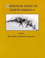 Mountain Sheep of North America