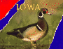 Iowa