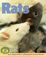 Rats