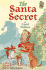 The Santa Secret