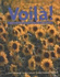 Voila!: An Introduction to French