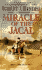 Miracle of the Jacal