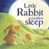 Little Rabbit Couldn't Sleep