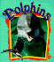 Dolphins