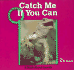 Catch Me If You Can
