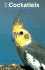The Joy of Cockatielss