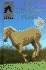 Runaway Pony