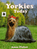 Yorkies Today