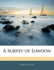 A Survey of London
