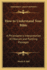 How to Understand Your Bible: A Philosopher's Interpretation of Obscure and Puzzling Passages