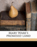 Mary Ware's Promised Land