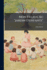 Mon Filleul Au "Jardin D'Enfants": Comment Il S'Instruit...