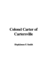 Colonel Carter of Cartersville