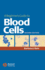 A Beginner's Guide to Blood Cells