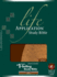 Life Application Study Bible-NLT