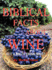 Biblical Facts about Wine: Is It a Sin to Drink Wine?