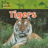 Tigers