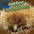 Creepy Mammals