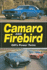 Camaro and Firebird: GM's Power Twins