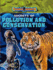 Secrets of Pollution and Conservation
