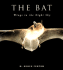 The Bat Wings in the Night Sky