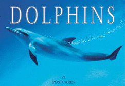 Dolphins Postcard Book