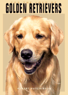 For the love of golden retrievers.