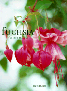 Fuchsia: Care Manual