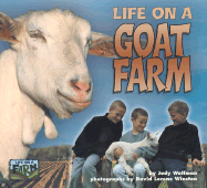Life on a Goat Farm