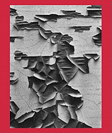 Aaron Siskind 100