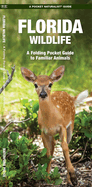 Florida Wildlife: An Introduction to Familiar Species